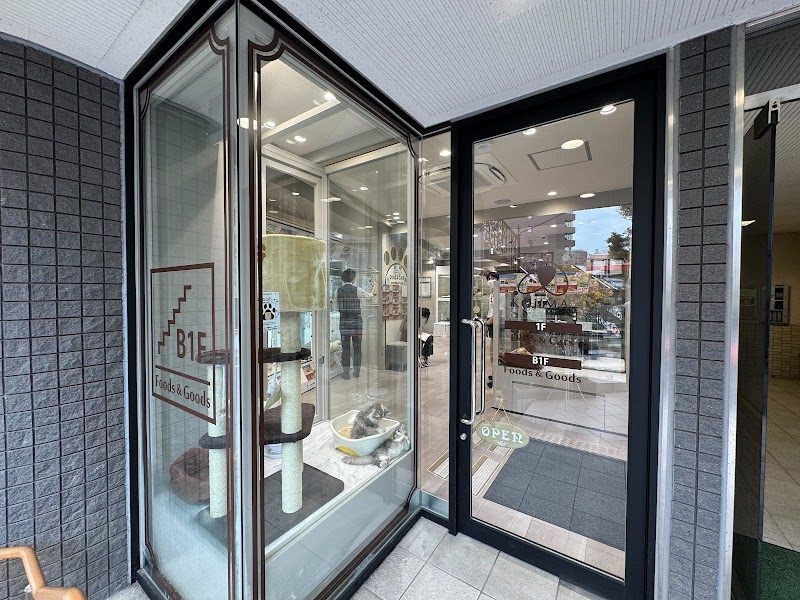 コジマ GRAND六本木店