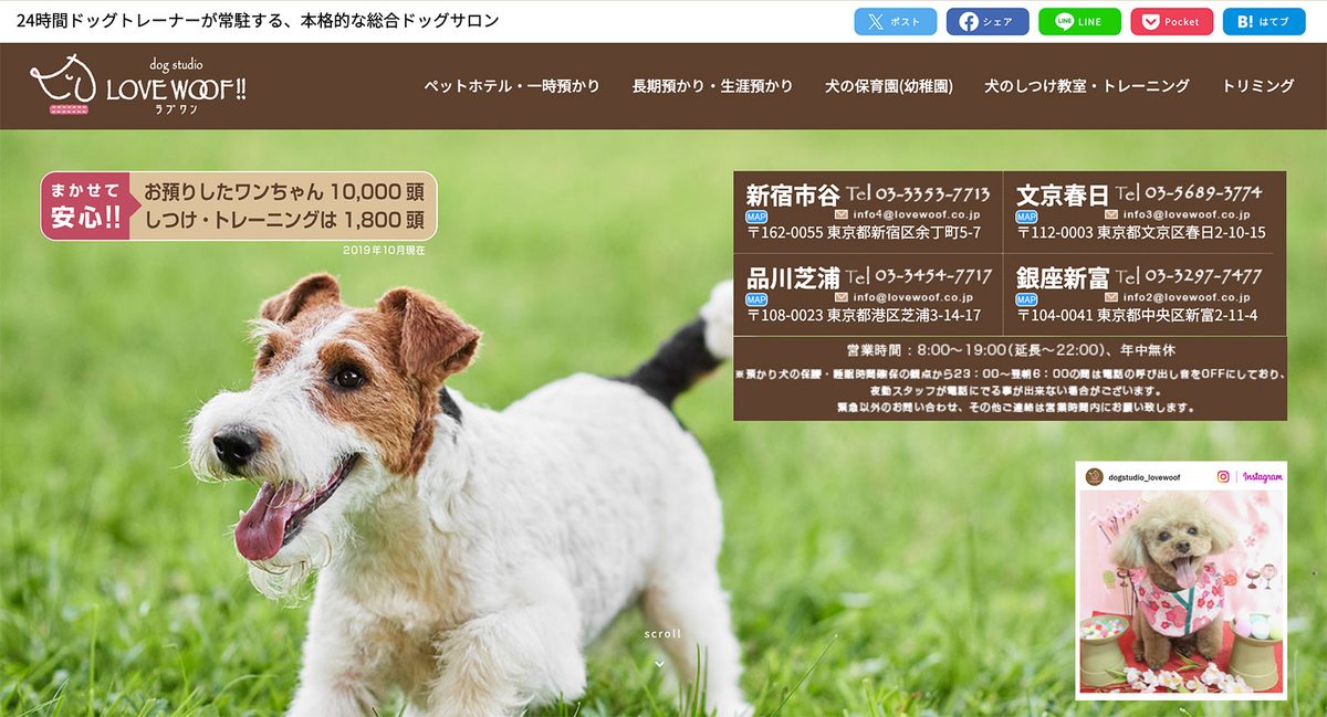 ドッグスタジオ ラブワン!! 品川芝浦