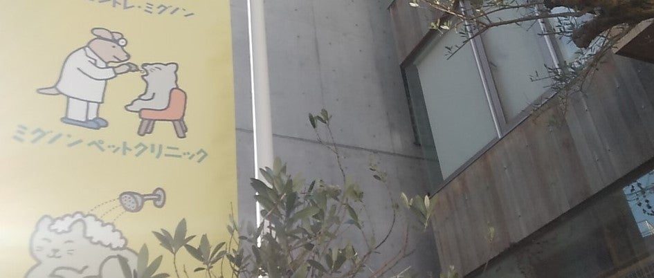 ミグノンペットクリニック
